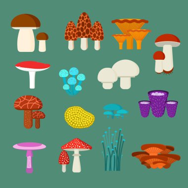 Mantar vektör çizim seti