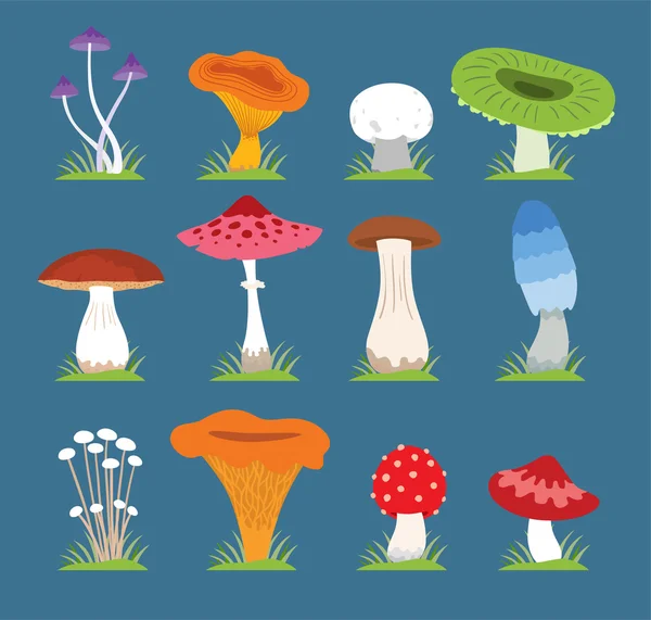 Mushrooms vector illustration set — Stock Vector