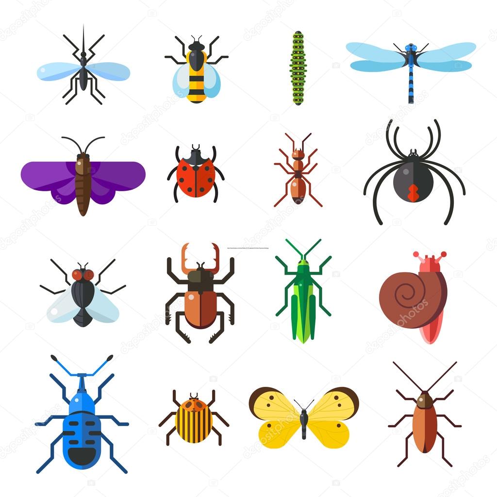 Insect icon flat set isolated on white background