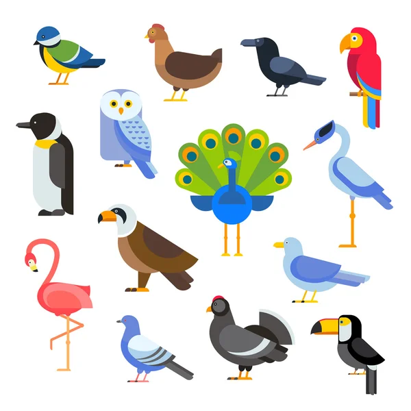 Illustration d'ensemble vectoriel d'oiseaux. Egle, perroquet, pigeon et toucan. Pingouins, flamants roses, corbeaux, paons. Tétras lyre, poulet, canapé, héron — Image vectorielle