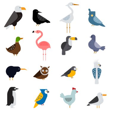 Birds vector set illustration. Egle, parrot, pigeon and toucan. Penguins, flamingos, crows, peacocks. Black grouse, chicken, sofa, heron