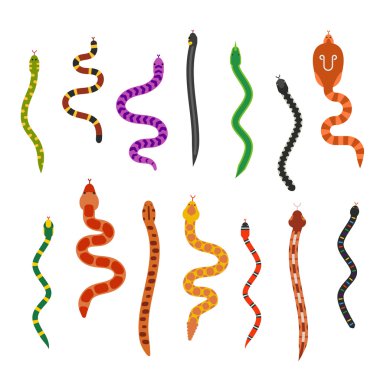 Vector flat snakes collection isolted on shite background clipart