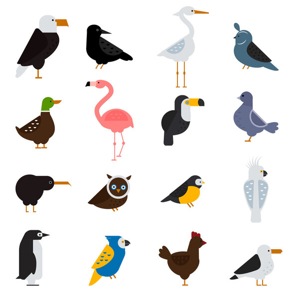 Birds vector set illustration. Eagle, parrot. Pigeon and toucan. Penguins, flamingos. Crows, peacocks. Black grouse, chicken. Sofa, heron