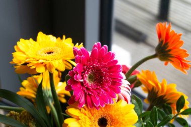 Yeşil arkaplanda vazoda bir demet papatya renkli çiçek.