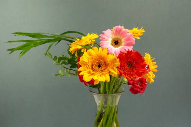 Yeşil arkaplanda vazoda bir demet papatya renkli çiçek.