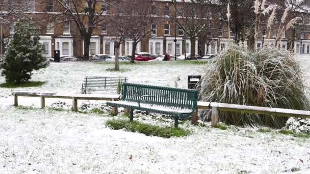 Взимку Падають Сніжинки Дерева Снігопад Дереві Фіолетовими Квітами — стокове відео