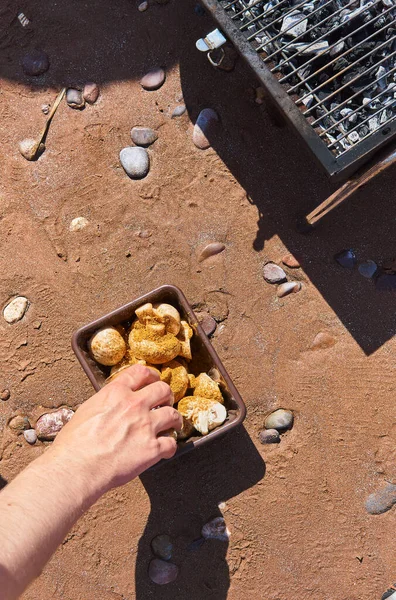 Churrasqueira Praia Areia Com Salsicha Vegan Saboroso Hambúrguer Vegan Legumes — Fotografia de Stock