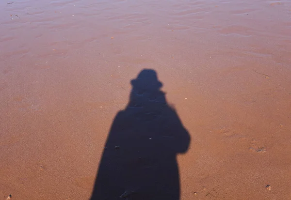 Woman standing on sand beach taking selfie. Nature concept. peace or lonely concept.