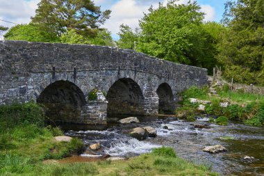 Dartmoor, Devon, West Country, İngiltere 'deki Postbridge' deki Doğu Dart Nehri üzerindeki ortaçağ alkışlayıcı köprüsü.