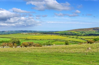 Dartmoor Ulusal Parkı, Devon, İngiltere, İngiltere