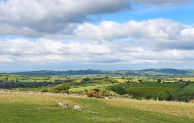 Dartmoor Ulusal Parkı, Devon, İngiltere, İngiltere