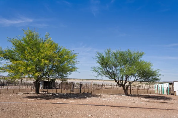 Puerta en una granja de ganado en namibia — Foto de Stock