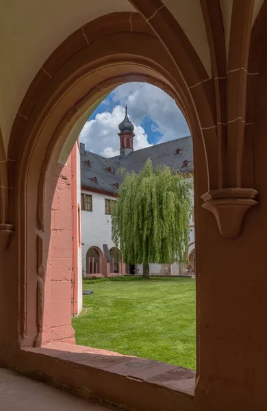 Eberbach Germany May 2019 Вид Через Вікно Внутрішній Сад Монастиря — стокове фото