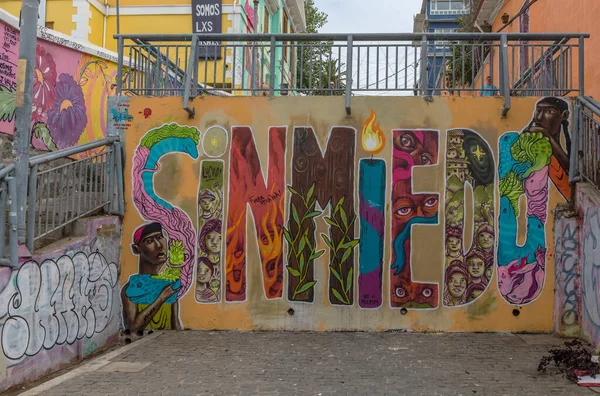 Valparaiso Chile Februar 2020 Farbige Graffiti Straßenkunst Der Historischen Altstadt — Stockfoto