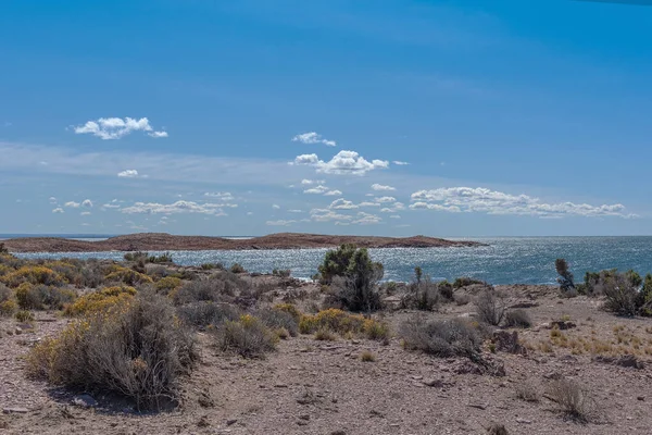 アルゼンチンのパタゴニア大西洋岸の風景 — ストック写真