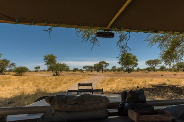 Game Drive Hostující Farmě Namibii — Stock fotografie