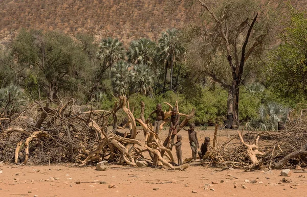 Kunene Region Namibia Prosince 2020 Himba Děti Dřevěného Plotu Vesnici — Stock fotografie