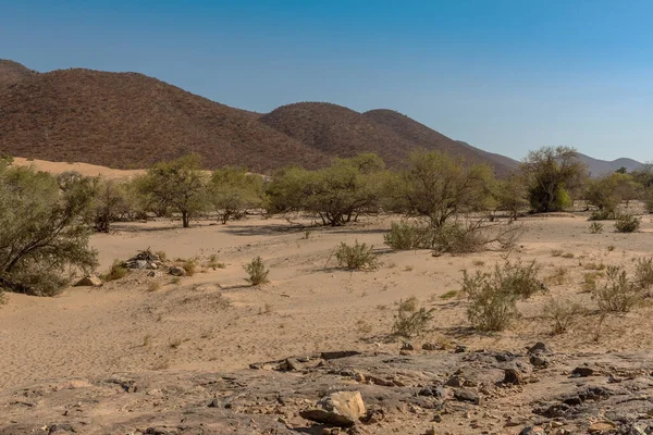 Paysage Long Rivière Kunene Dans Nord Namibie — Photo