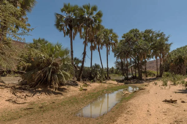 Paysage Long Rivière Kunene Dans Nord Namibie — Photo