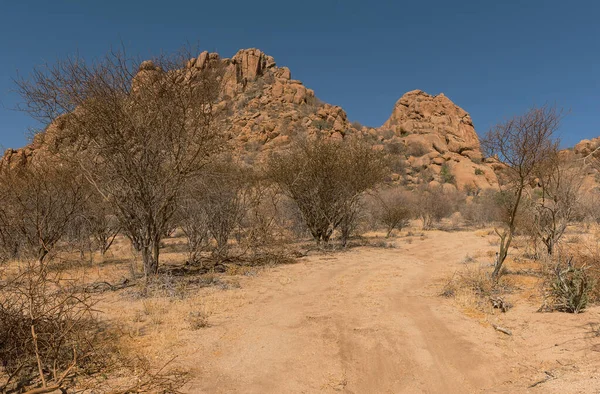 Chemin Terre Dans Paysage Magnifique Namibie — Photo