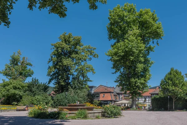 Koenigstein Taunus Duitsland Juli 2018 Villa Borgnis Kurhaus Park Koenigstein — Stockfoto