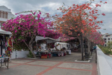Panama Şehri, Panama - Mart 03, 2019: Panama 'nın tarihi bölgesi Casco Viejo' daki hatıra tezgahları 