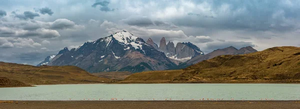 노르데 른스도르펠트 호수에 홍학들 칠레의 토레스델 공원에 봉우리 — 스톡 사진