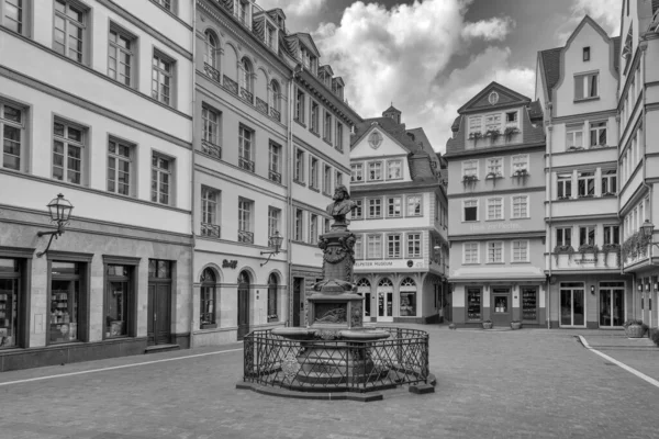 Frankfurt Main Germany May 2021 Stoltze Fountain Chicken Market Reanimated — 스톡 사진