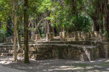 Antik Maya şehri Kohunlich 'in kalıntıları, Quintana Roo, Meksika