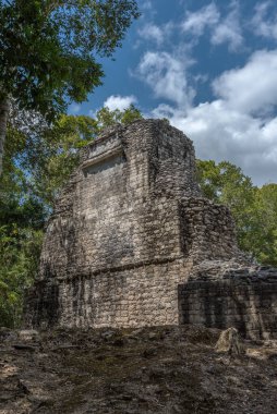Antik Maya şehri Hormiguero 'nun kalıntıları, Campeche, Meksika
