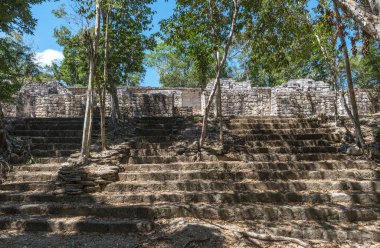 Antik Maya şehri Calakmul 'un tapınak kalıntıları, Campeche, Meksika