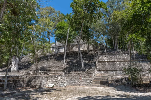 Antik Maya Şehri Calakmul Tapınak Kalıntıları Campeche Meksika — Stok fotoğraf