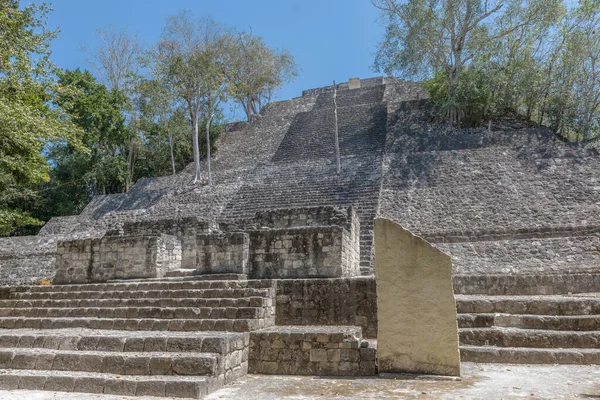 Ruiny Świątyni Starożytnego Miasta Majów Calakmul Campeche Meksyk — Zdjęcie stockowe