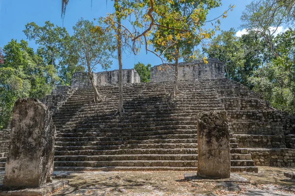 Les Ruines Temple Ancienne Ville Maya Calakmul Campeche Mexique — Photo