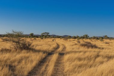 Ovita Vahşi Yaşam Kampı, Okahandja, Namibya
