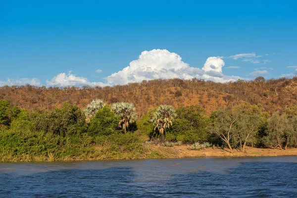 Paisagem Margens Rio Kunene Rio Fronteiriço Entre Namíbia Angola — Fotografia de Stock