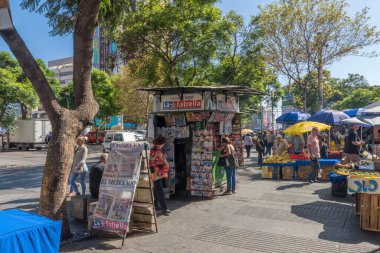 VALPARAISO, ŞİLİ-FEBRUARY 27, 2020: Şili 'nin Valparaiso kentindeki sokak pazarı