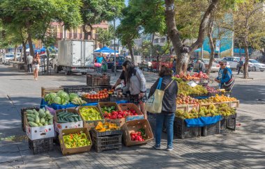 VALPARAISO, ŞİLİ-FEBRUARY 27, 2020: Şili 'nin Valparaiso kentindeki sokak pazarı