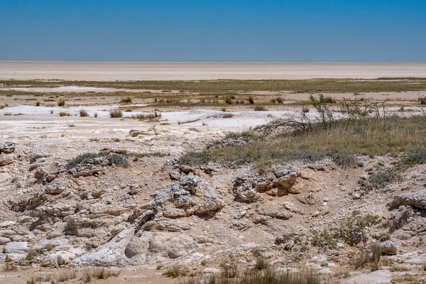 Pohled Suchou Solnou Pánev Etosha Národním Parku Etosha Namibie — Stock fotografie