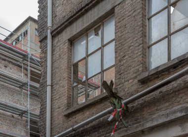 Eski harabe bir fabrikanın kırık camları.