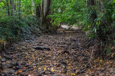 Sıcak bir yazda kuru bir dere.