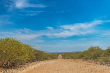 Kuzey Namibya 'da çakıl tali yolu