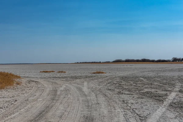 Nxai Pan Ulusal Parkı 'nın tuzlu tavası, Botswana