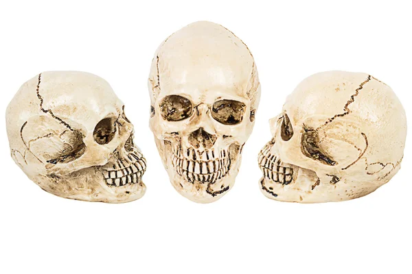 Cráneo de humano — Foto de Stock