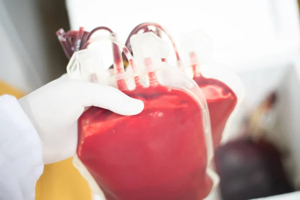 Krvavý Sáček Celý Život Laboratoř Krevní Banky — Stock fotografie