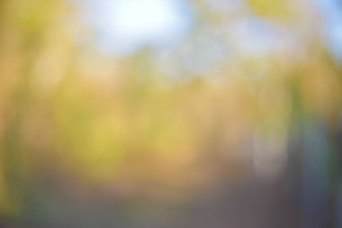 Bulanık bokeh hafif altın arkaplan.