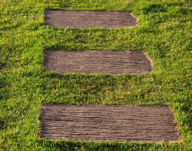 Doğada kahverengi desenli yeşil çimenler..