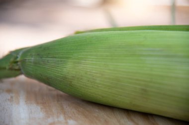 Taze mısır tarımı kavramını kapat.