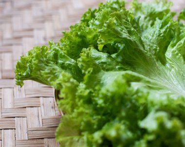 Pişirme kavramında yeşil marul.