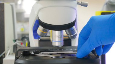 Laboratuvarda mikroskop kullanan mavi eldivenli bir el bilimcisi..